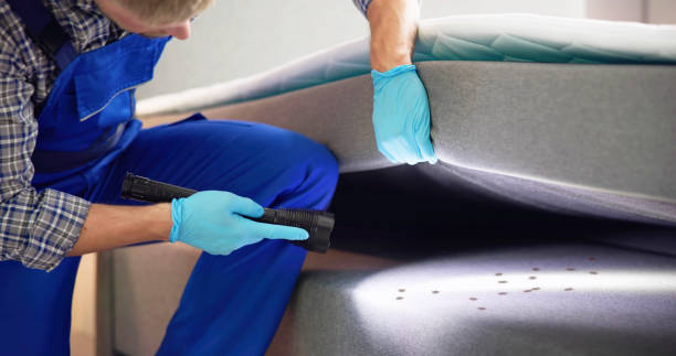 Best Bed Bug Extermination  in Dolan Springs, AZ