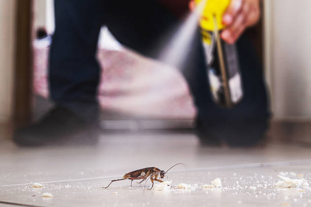 Best Wildlife Control Services  in Dolan Springs, AZ